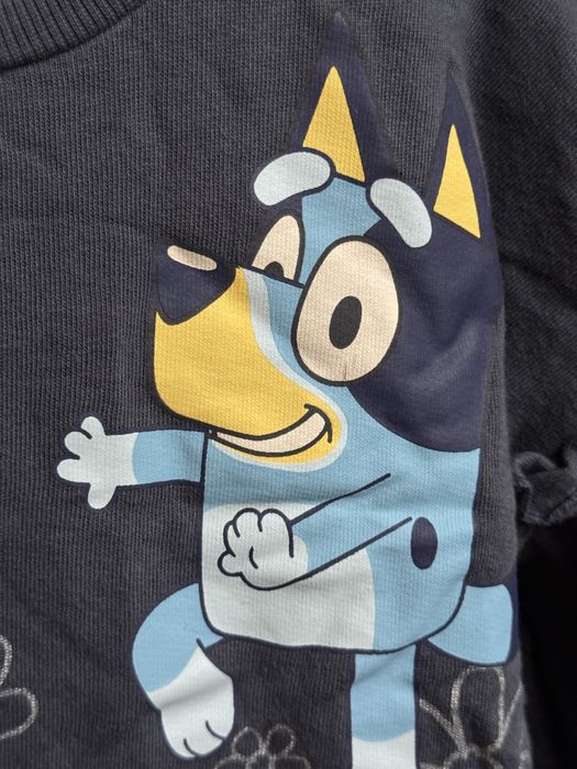 Штани кльош 110р і світшот з Bluey