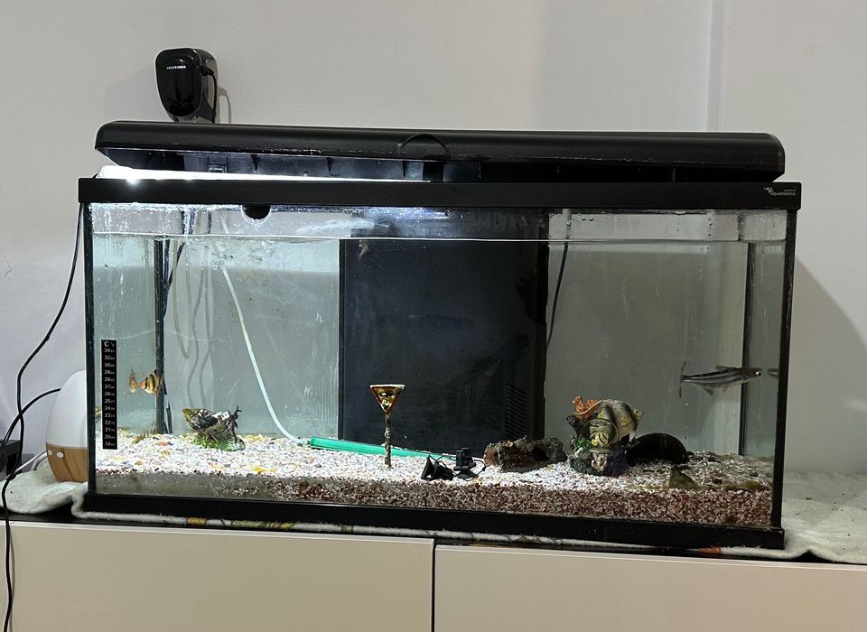 Aquário de Água Doce Quente Completo (90 Litros)