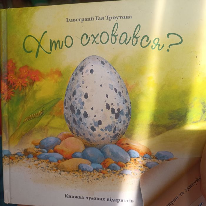 Книга Хто сховався Гая Троутона