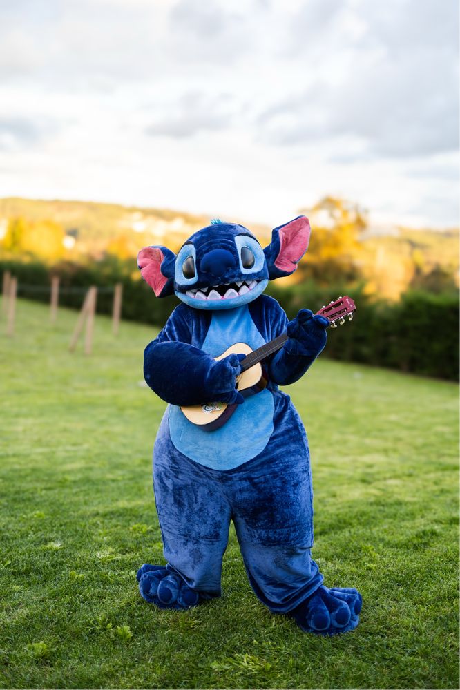 Presença de Mascotes