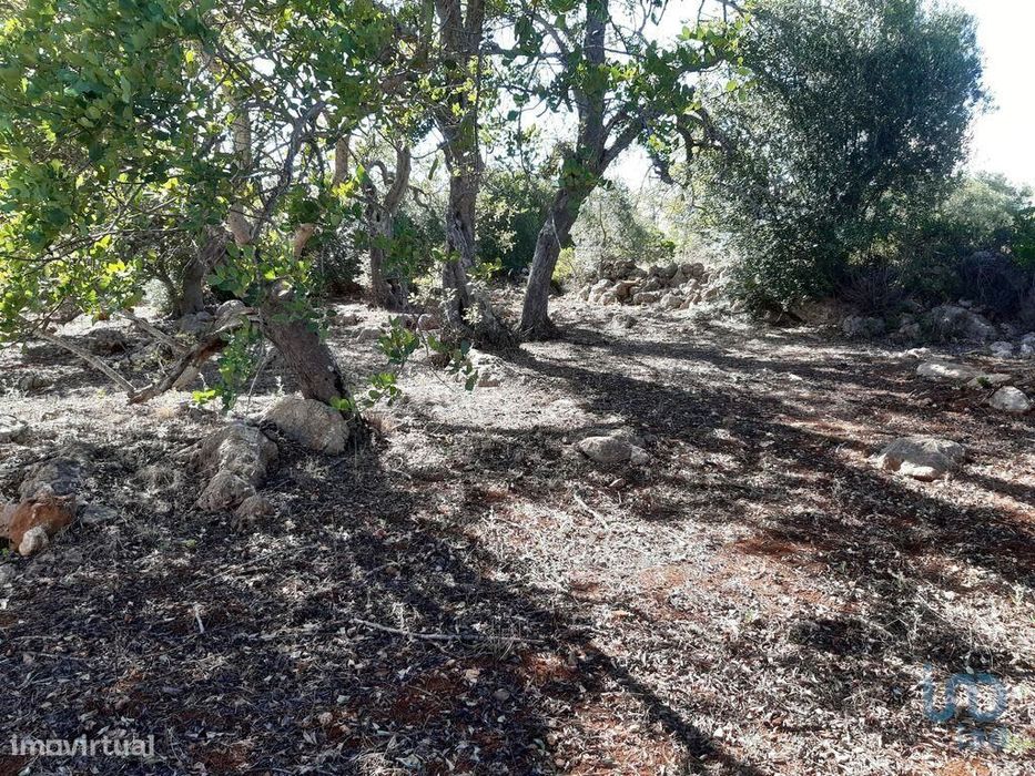 Terreno Agrícola em Alte de 6870,00 m2