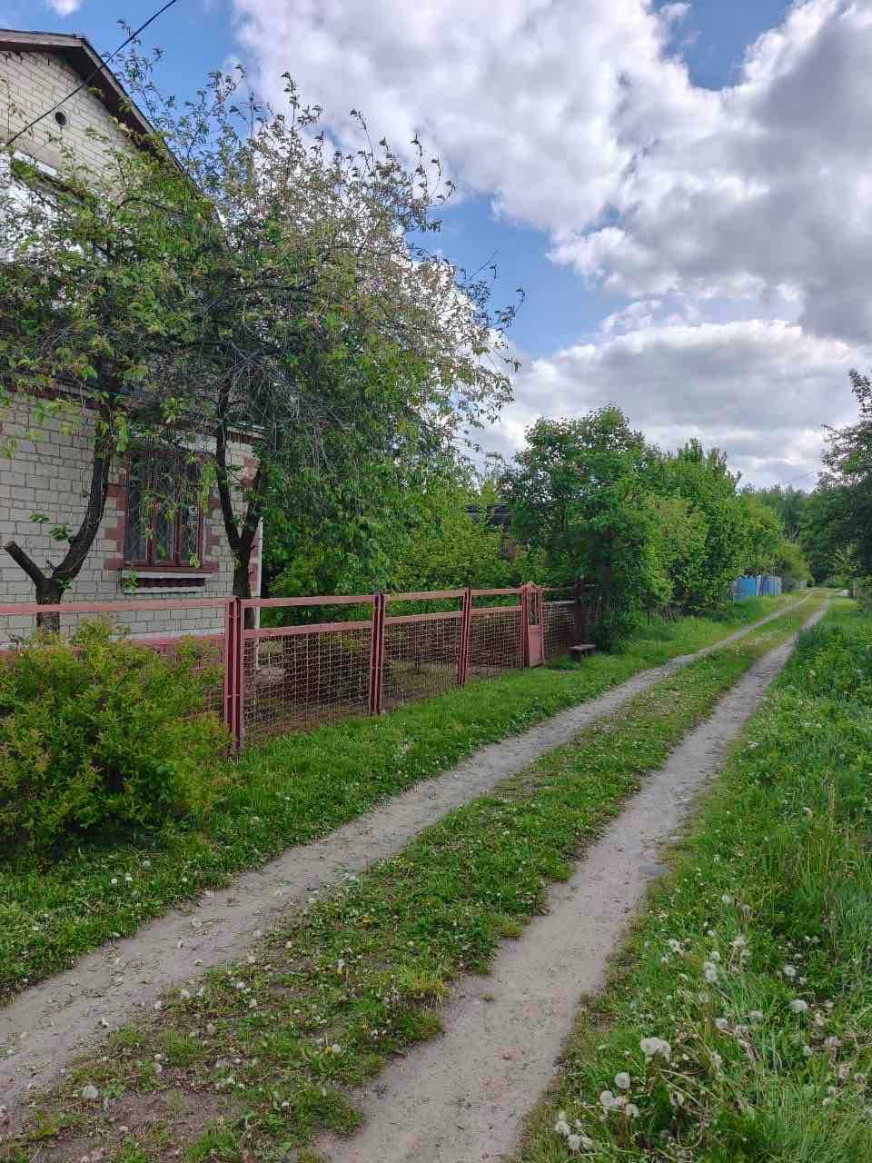 Дача Камяна Гора