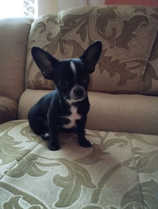 Чорно білий хлопчик