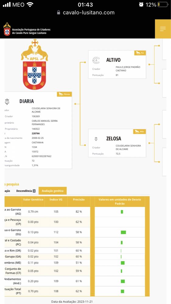 Egua lusitana reprodutora