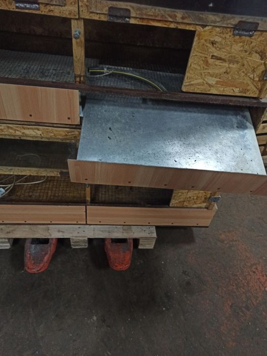 Брудера для циплят