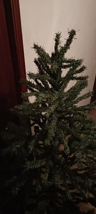 Árvore de natal a imitar pinheiro