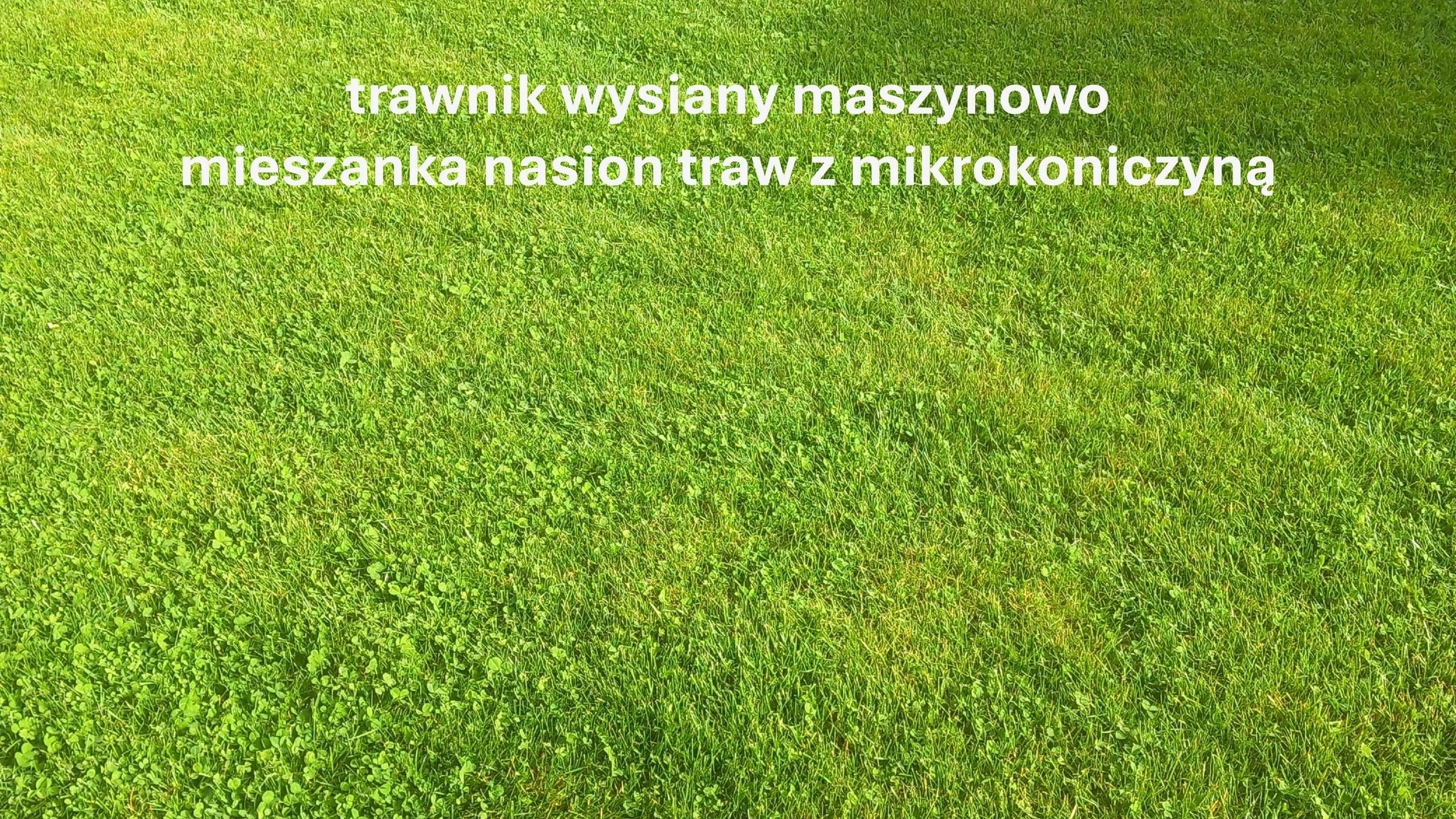 trawnik z siewu, profesjonalny wysiew trawy, renowacja trawnika