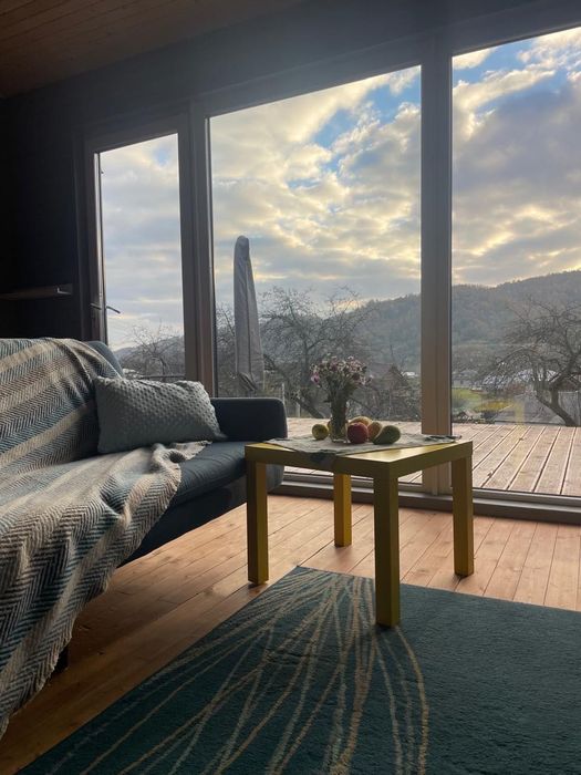 Карпати, прикарпаття, оренда будинку, окремий  будинок в Карпатах,