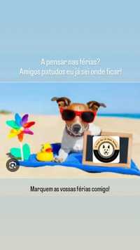 Pet Sitting e Dog Walking para férias e tempos livres