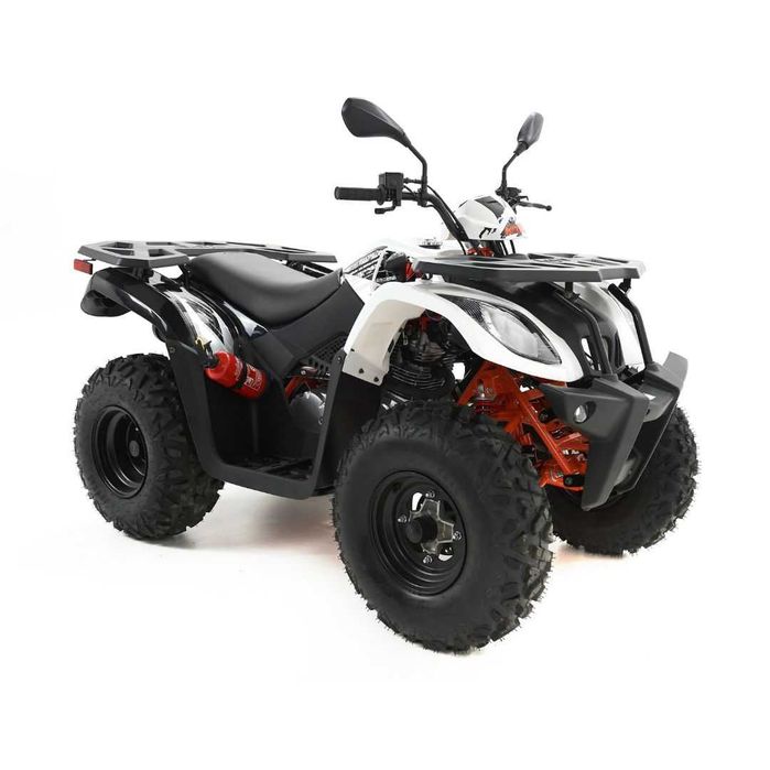 Quad Kayo AU200 T3B Raty/Leasing/Transport Cała Polska ATVMOTOSQUAD