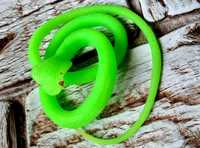 Ekstra Wąż gumowy długi zielona Cobra transparentna Nowa