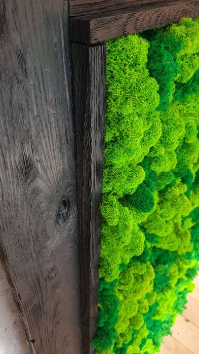 Ekskluzywny obraz z mchu , mech chrobotek reniferowy .Wymiar 140x70cm