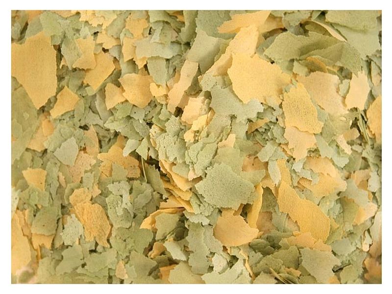 1,4kg Vegetal Mix Płatki pokarm roślinny lucerna karma dla ryb akwar.