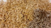 Trociny suche jesion do wedzenia, kompostowania, ściółkowania, palenia