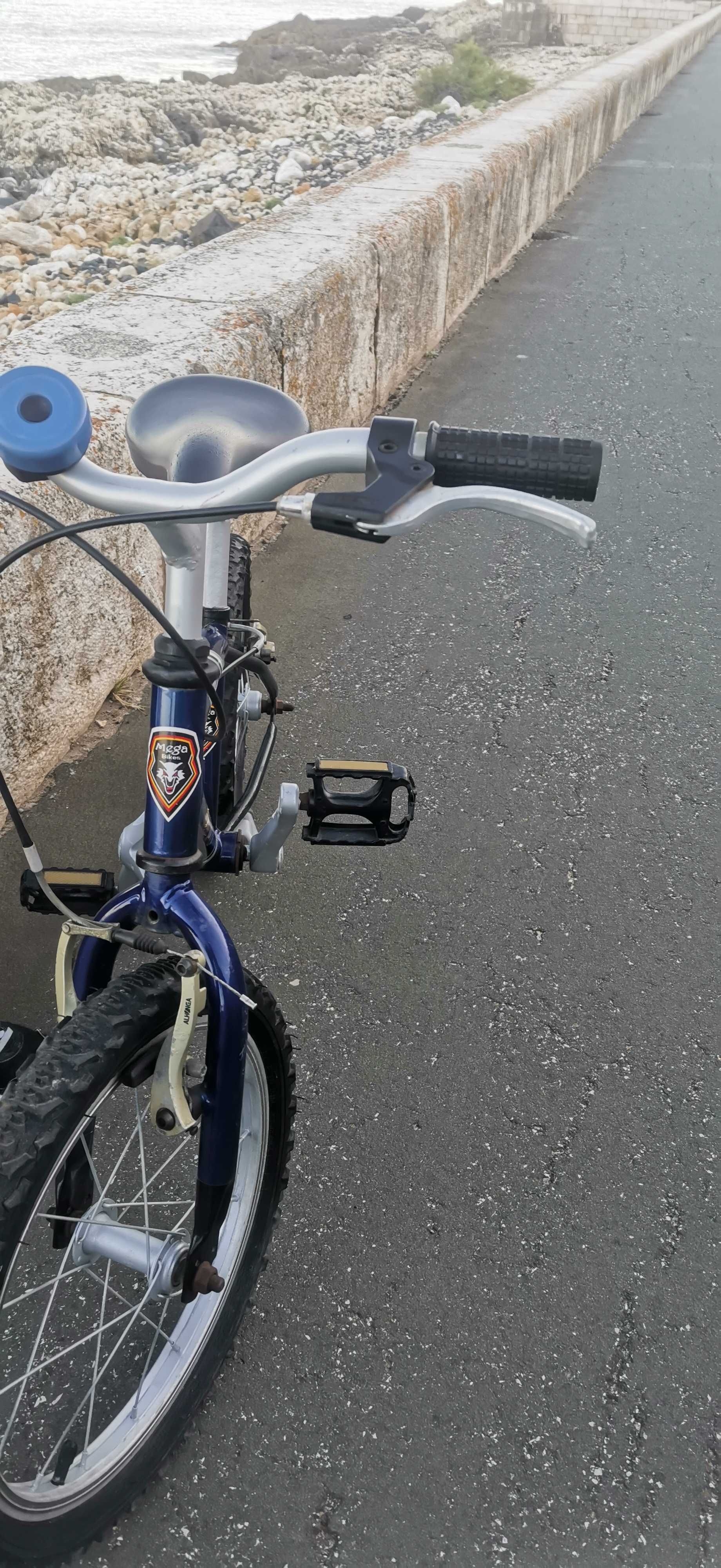 Bicicleta de criança roda 16