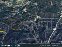 Venda de Terreno em Proença-a-Nova, Centro de Portugal