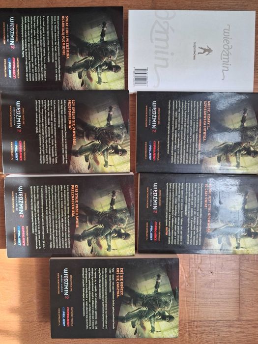 Wiedźmin, Sapkowski saga