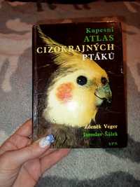 Книга атлас на чешском птицы попугаи