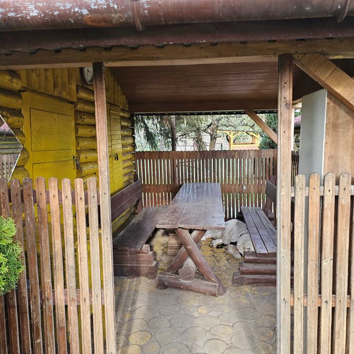 Działka ROD Czeremcha