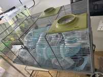 Gaiola de Hamster