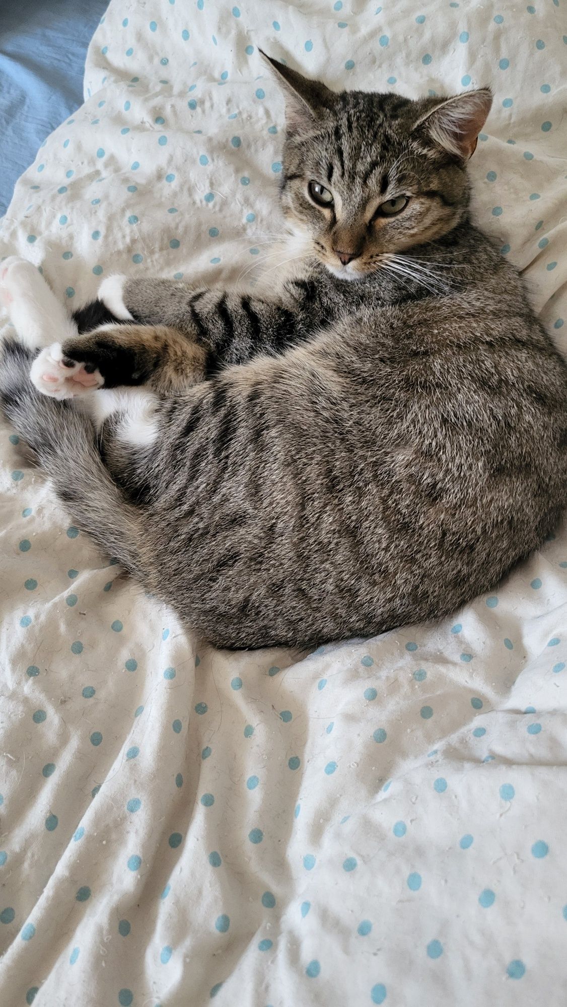 Uratowana Nela szuka domu