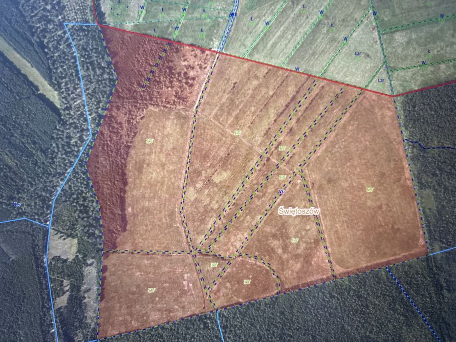 Łąka w  świętoszów - Lubiechów