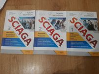 Ściąga cz 1,2,3. Opracowania lektur.