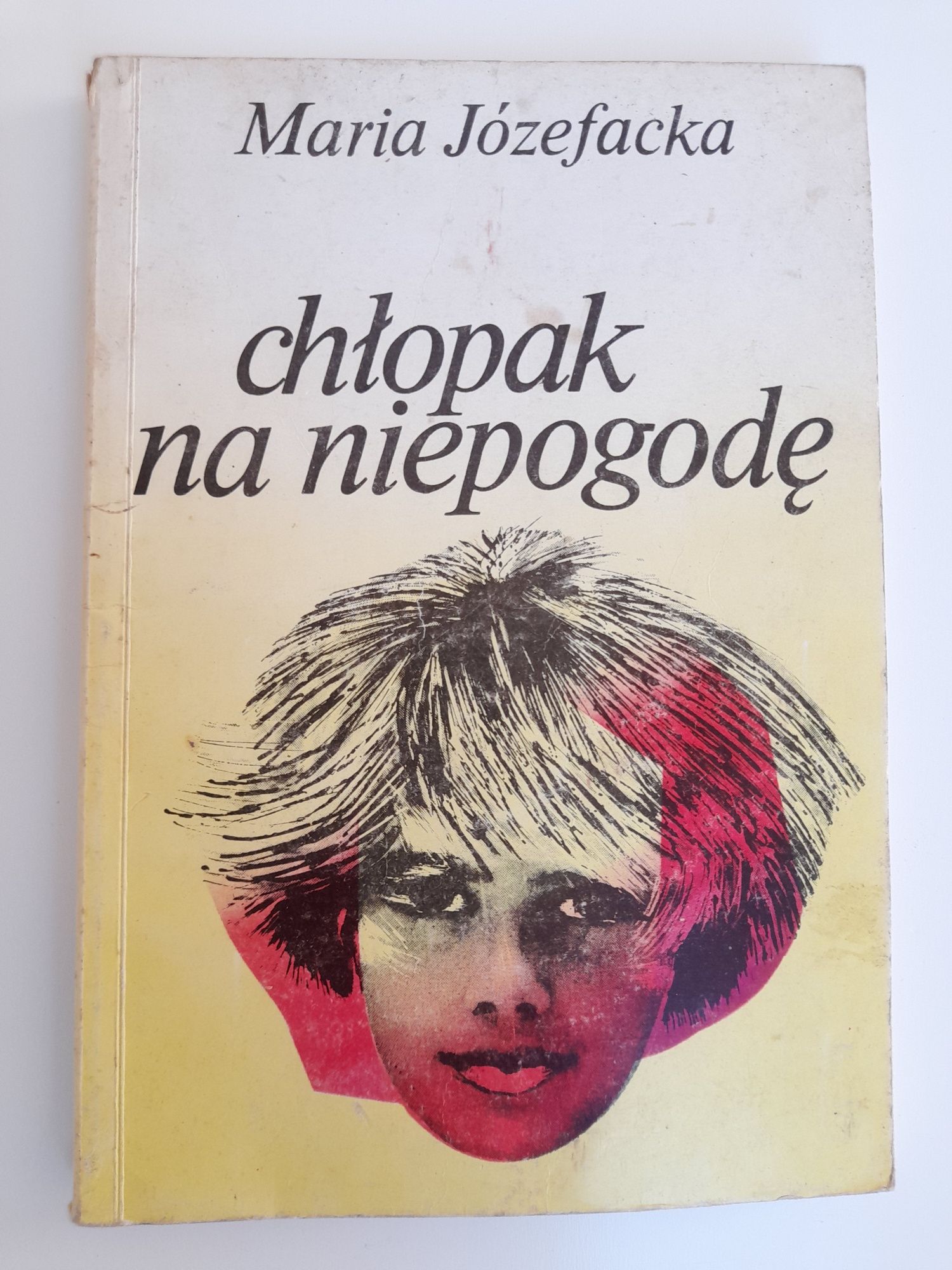 Książka Chłopak na niepogodę  autor Maria Józefacka