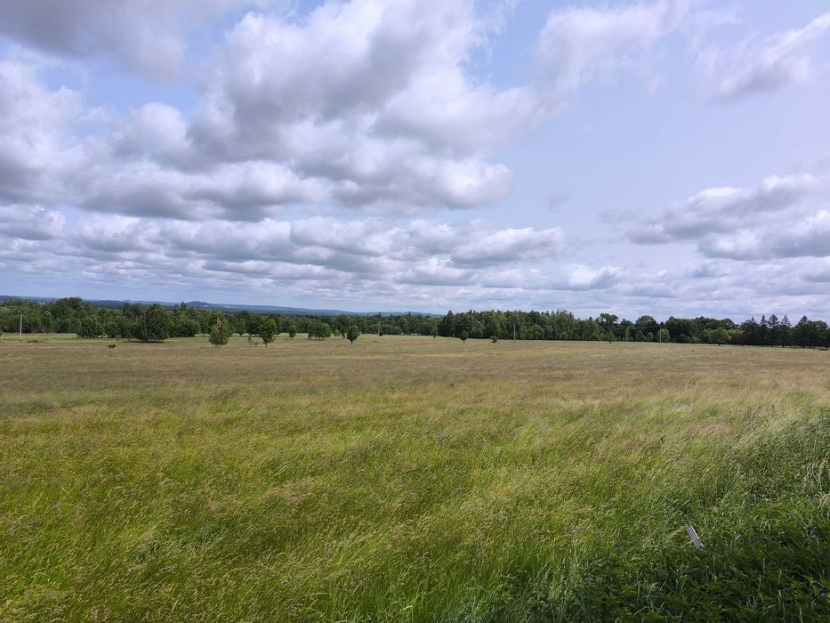 Działka na Pogórzu Izerskim