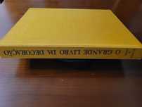 O grande livro da decoração