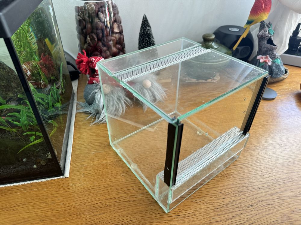 Terarium 8 l, 20x20x20