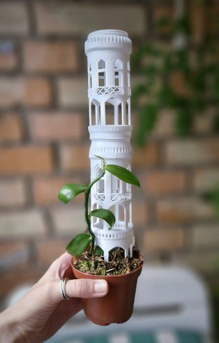 Мохова опора для кімнатних рослин, тотем