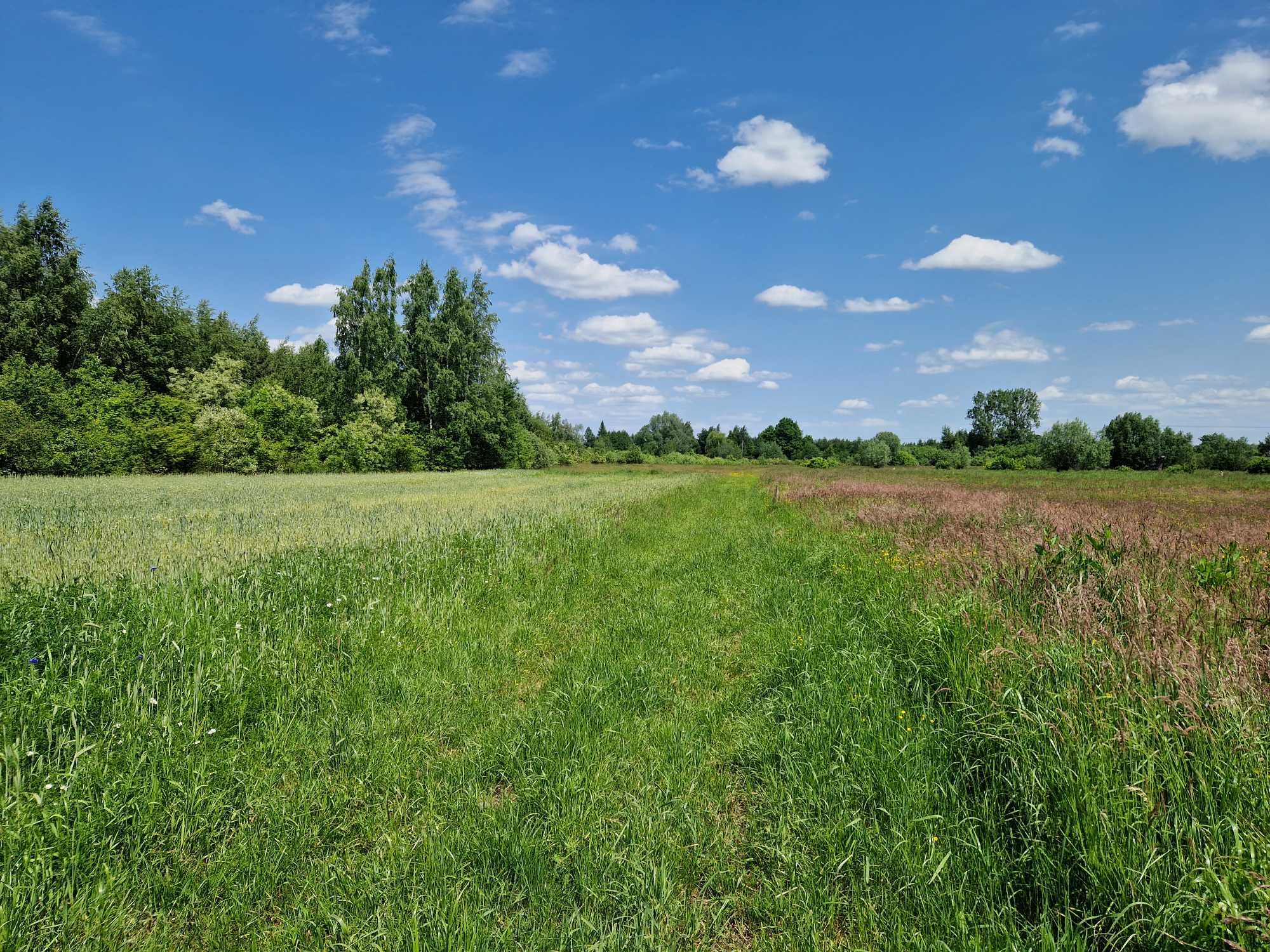 Działka rolno-budowlana 5600 m2, w Trablicach.