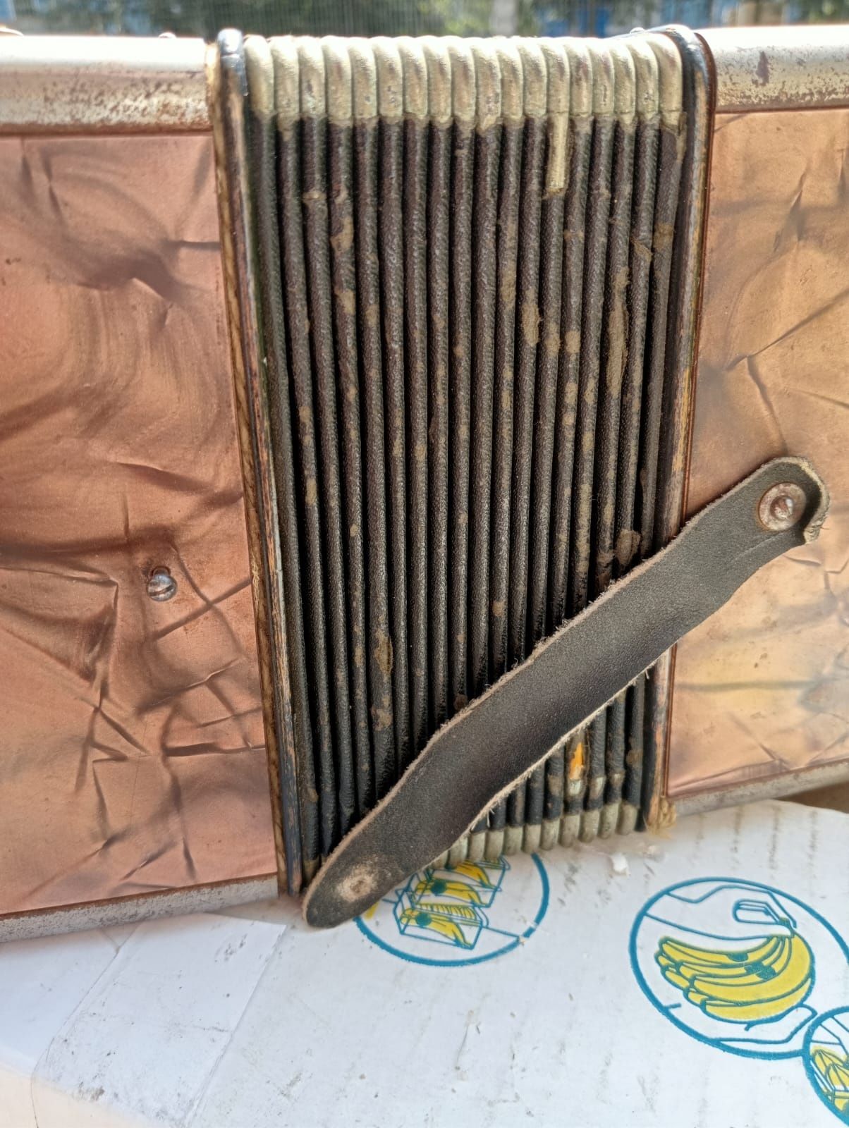 Rzadki akordeon HOHNER