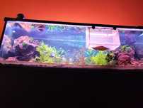 Cala iluminaria para aquario 120cm RGB