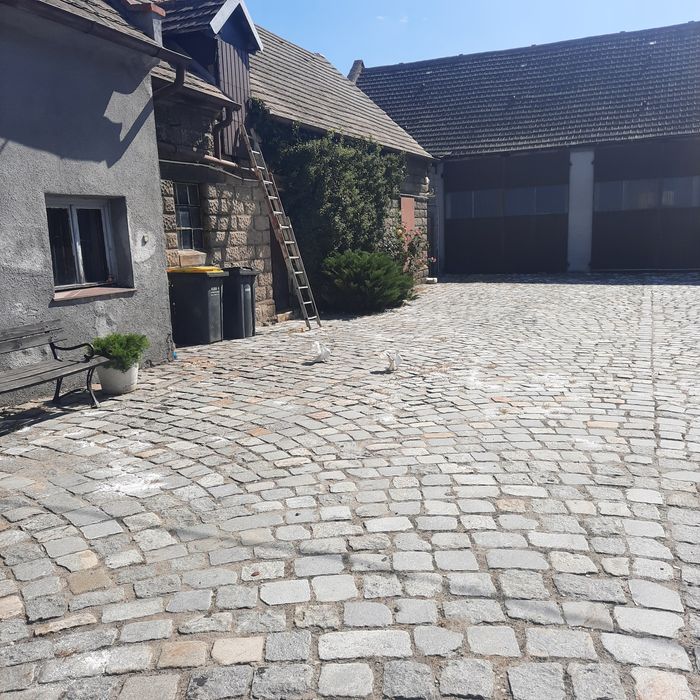 Gołębie piękne białe pawiki