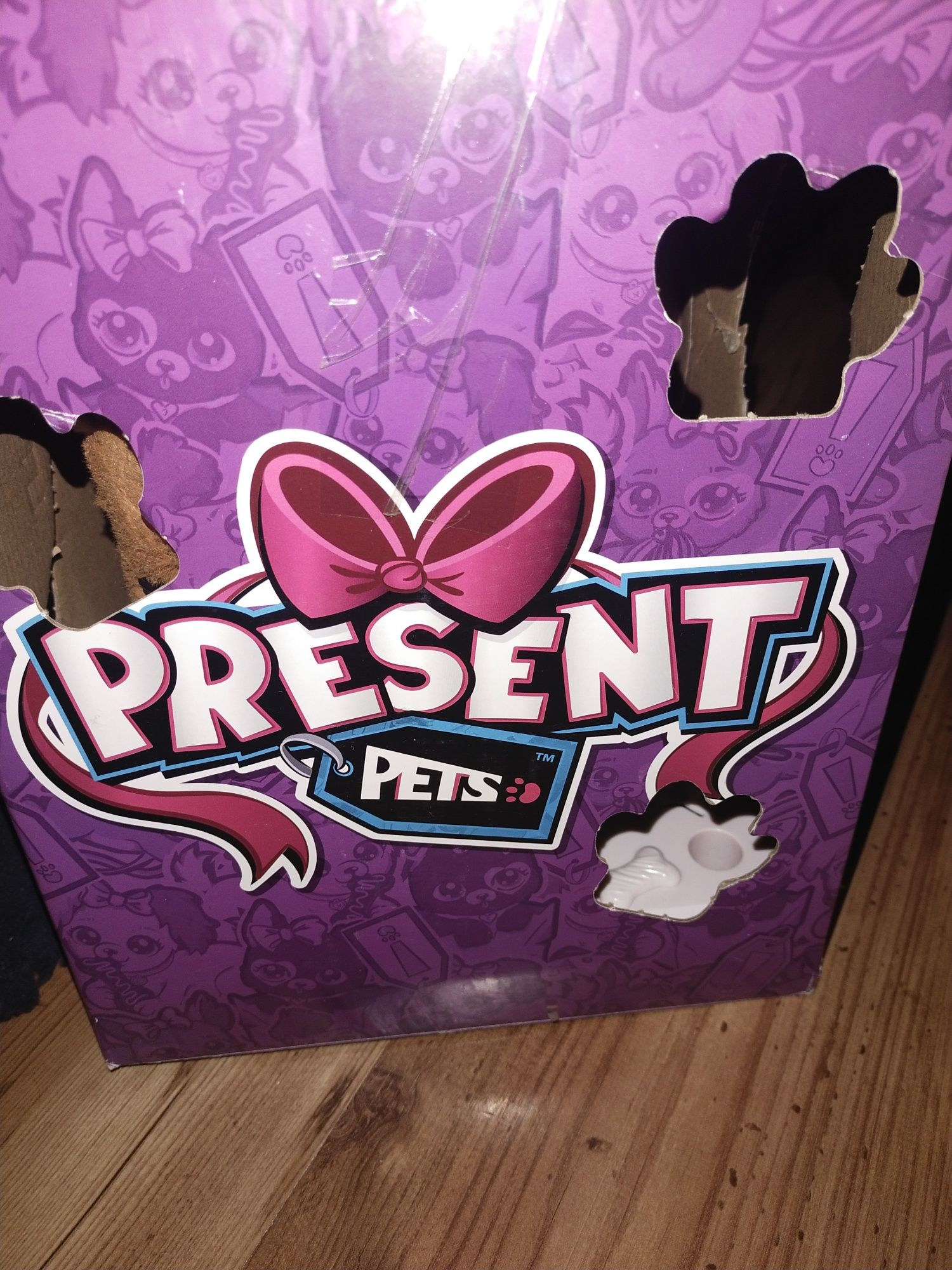 Present Pets piesek niespodzianka Casey i  Cocoa