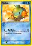Pokemon Card - Mudkip 50 HP
