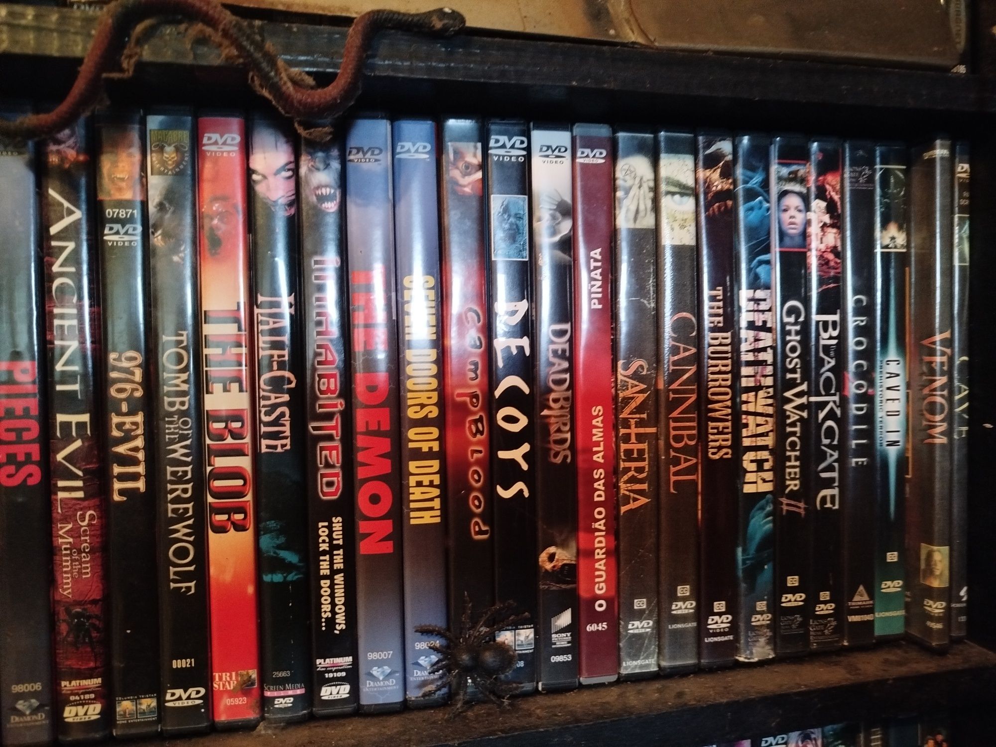Dvd's sistema pal e nstc