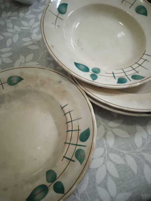 Pratos Antigos com folhas verdes