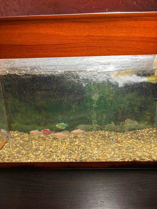 Продам акварiум 35л