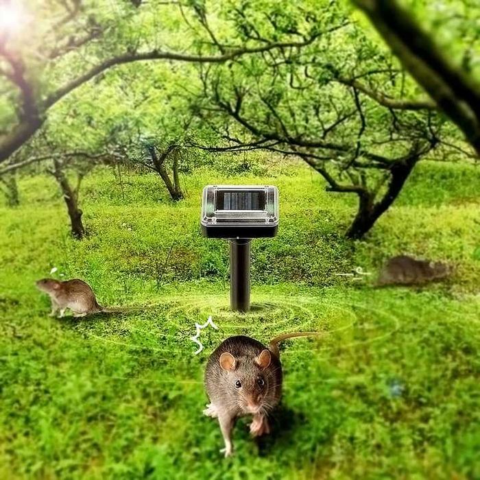 Odstraszacz wbijany w ziemię solarny na myszy gryzoni kun 2szt t