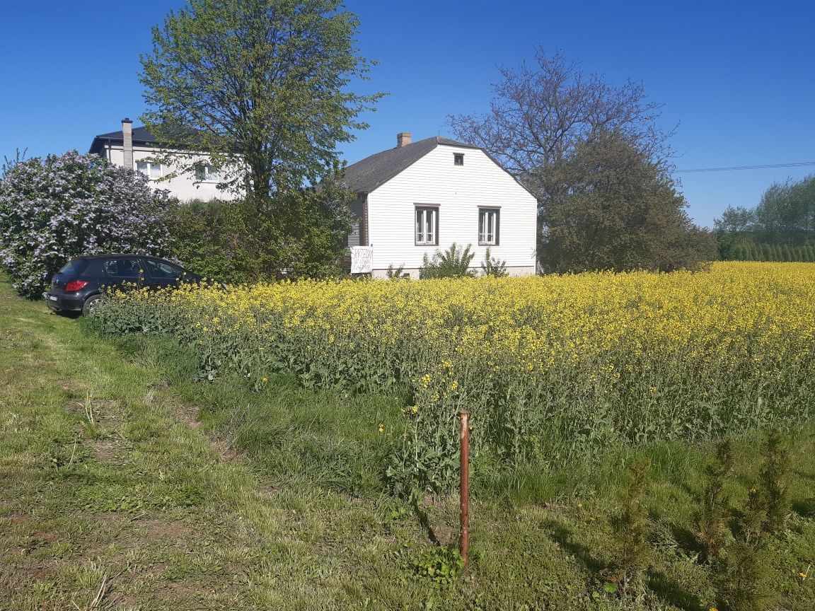 Sprzedam siedlisko