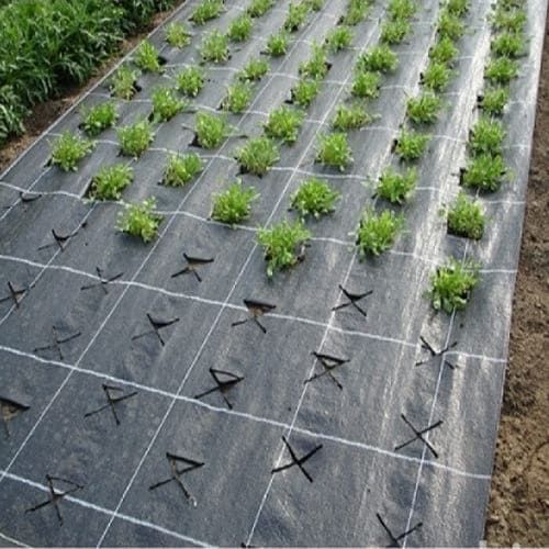 агроволокно, чорне та біле