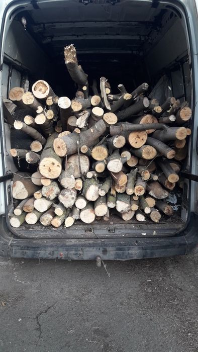 Клен, тополь ясен вишня ябоуня абрикос