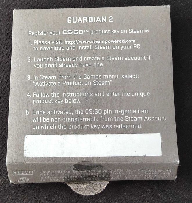 CS: GO Guardian 2 Pin/Odznaka + KOD STEAM