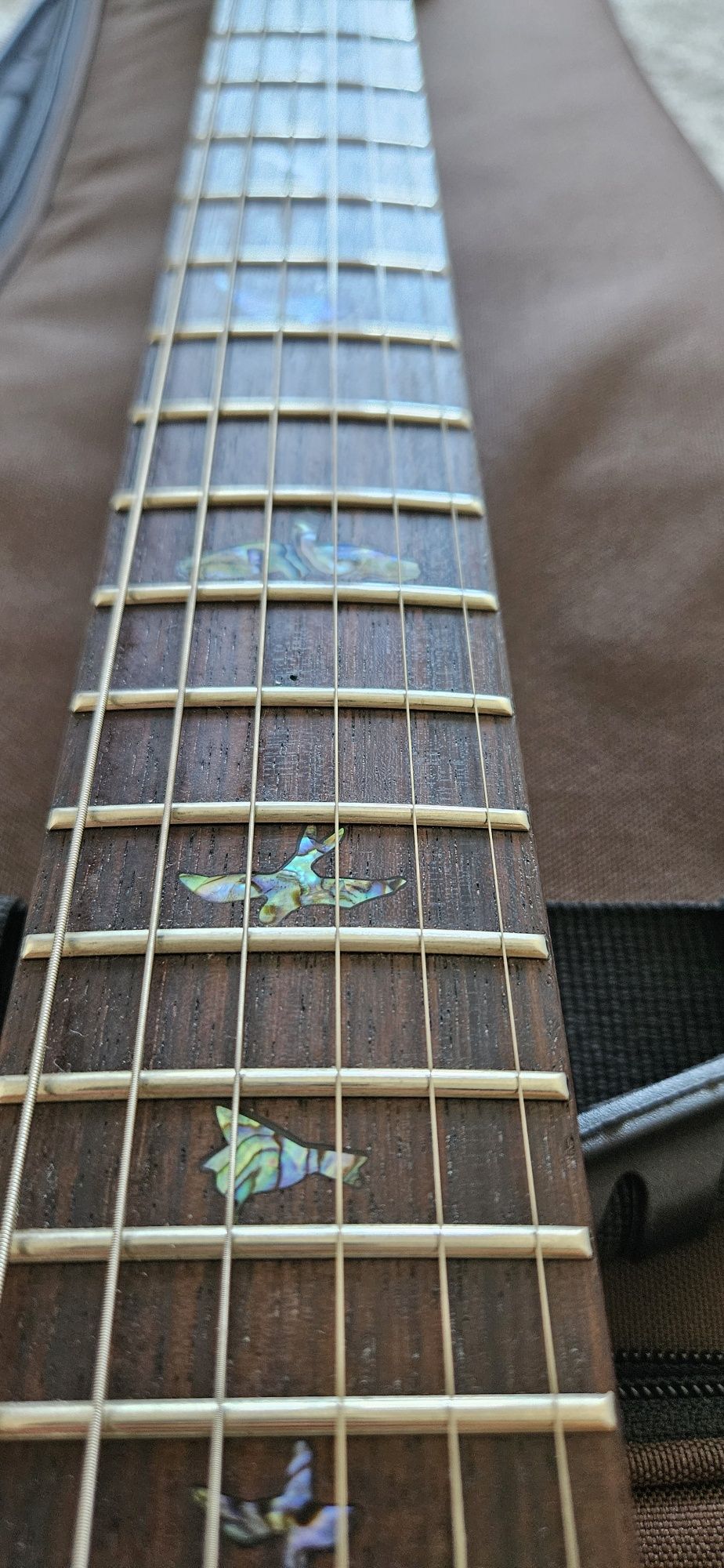 PRS PAUL'S guitar Ambar