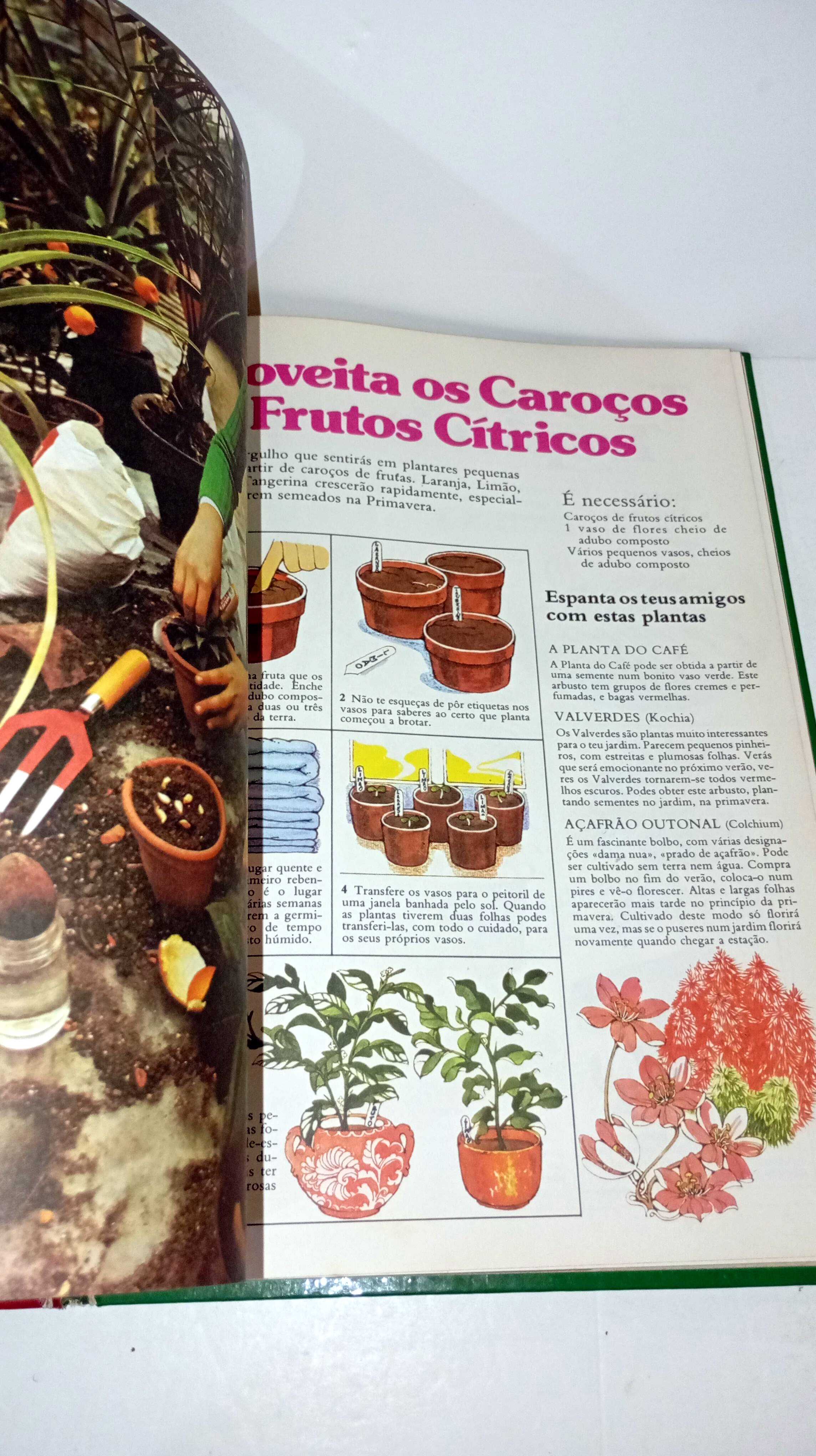 Jardinar é fácil quando se sabe como