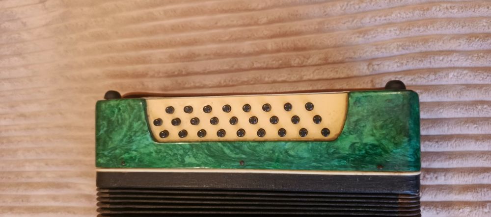 Гармошка Ромашка