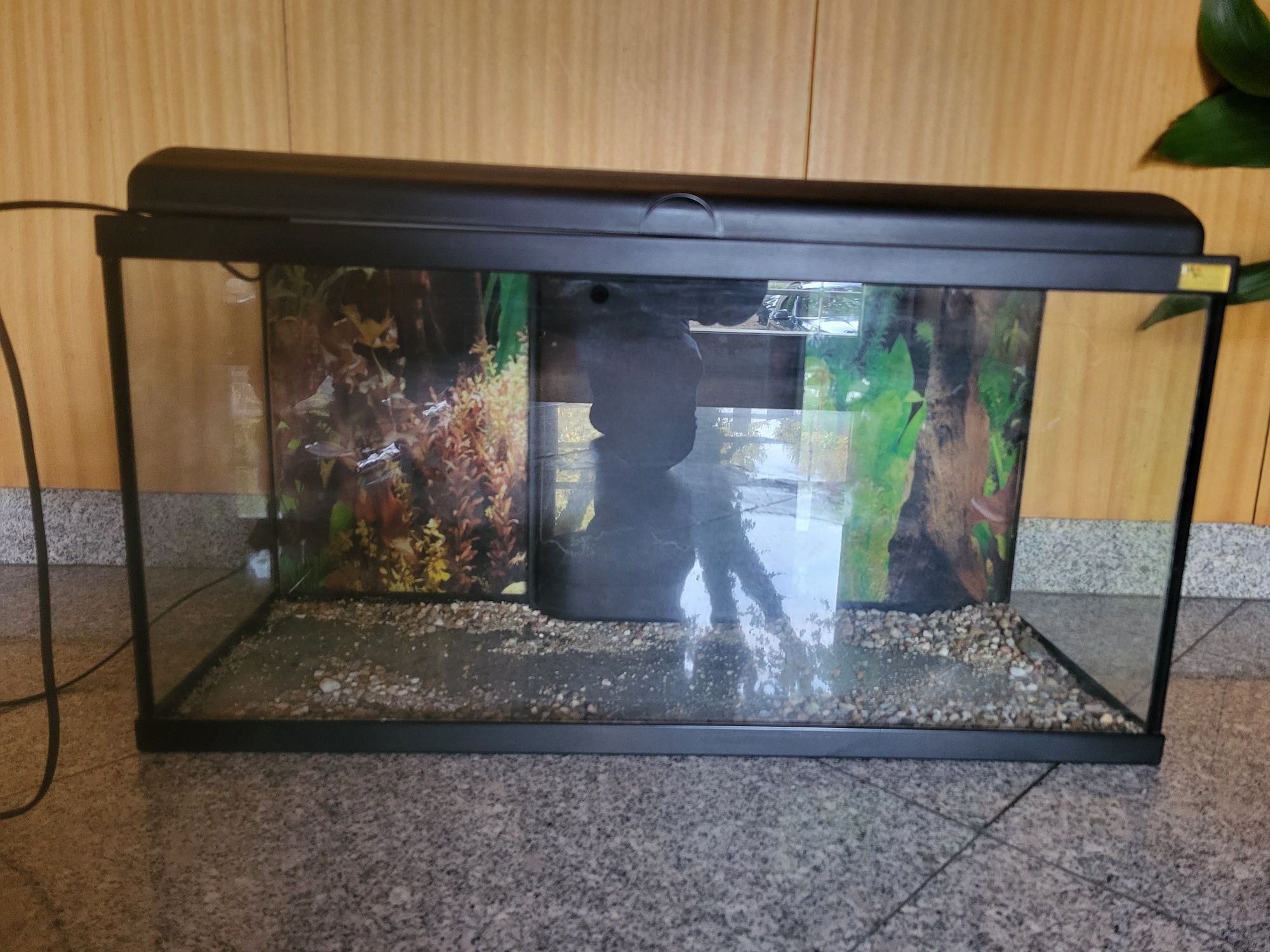 Aquario / Movel / Acessorios
